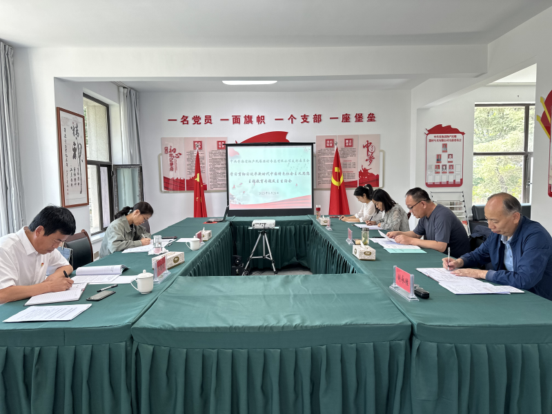 刀刃向內(nèi)深入剖析 貫通融合落實整改&mdash;&mdash;民爆公司黨支部召開主題教育專題民主生活會