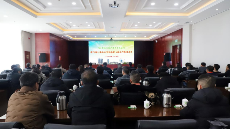 集團(tuán)安委會(huì)組織集中觀(guān)看《安全生產(chǎn)責(zé)任在肩》安全生產(chǎn)警示教育片