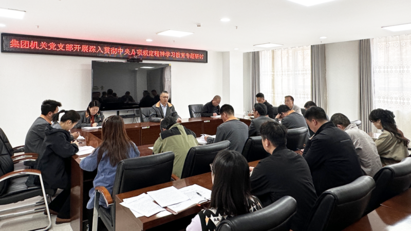 集團機關(guān)黨支部開展深入貫徹中央八項規(guī)定精神學(xué)習(xí)教育專題研討